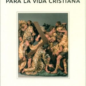 Vía crucis para la vida cristiana